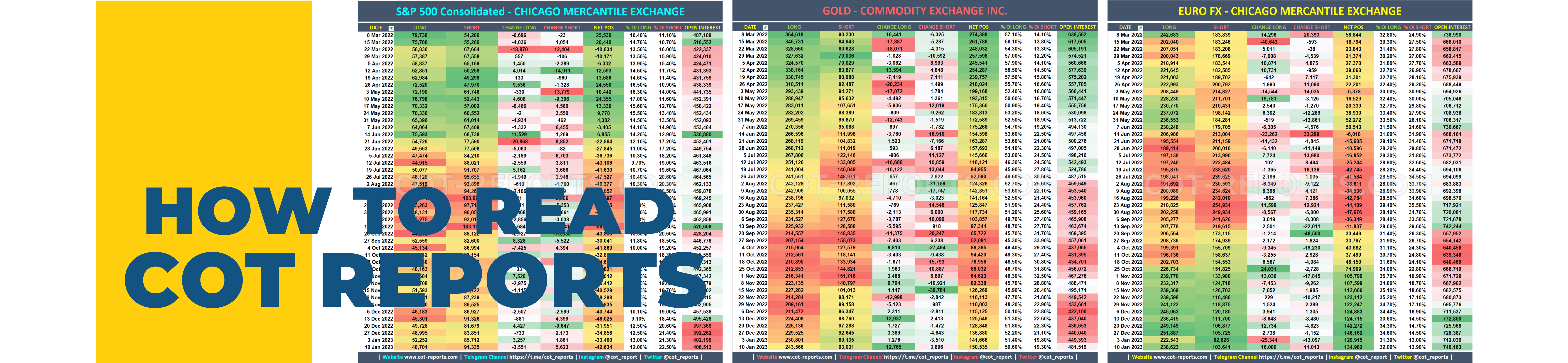 Learn How to Read the Simplified Version of COT Reports